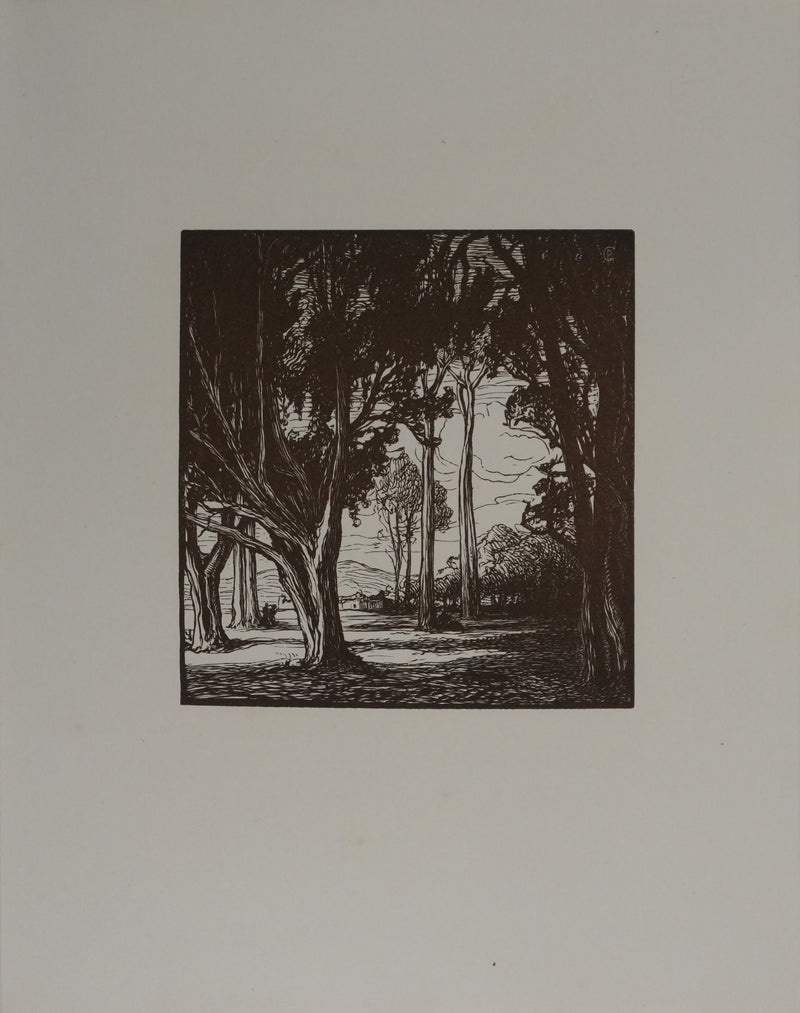 Pierre GUSMAN : Le petit bois, Gravure originale