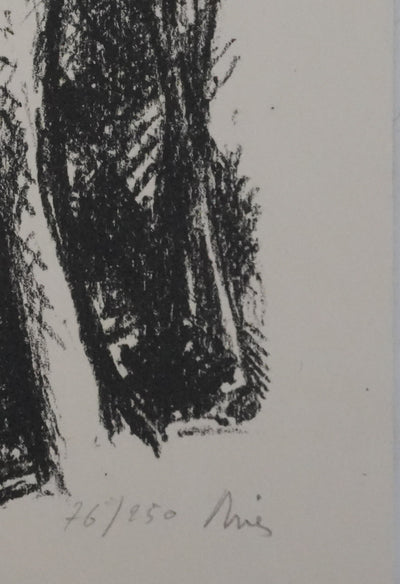 Jean DRIES : La petite maison dans les bois, Lithographie originale signée