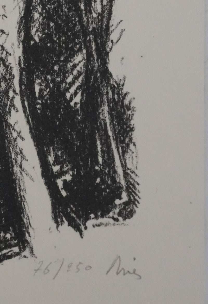 Jean DRIES : La petite maison dans les bois, Lithographie originale signée