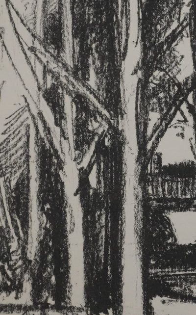 Jean DRIES : La petite maison dans les bois, Lithographie originale signée
