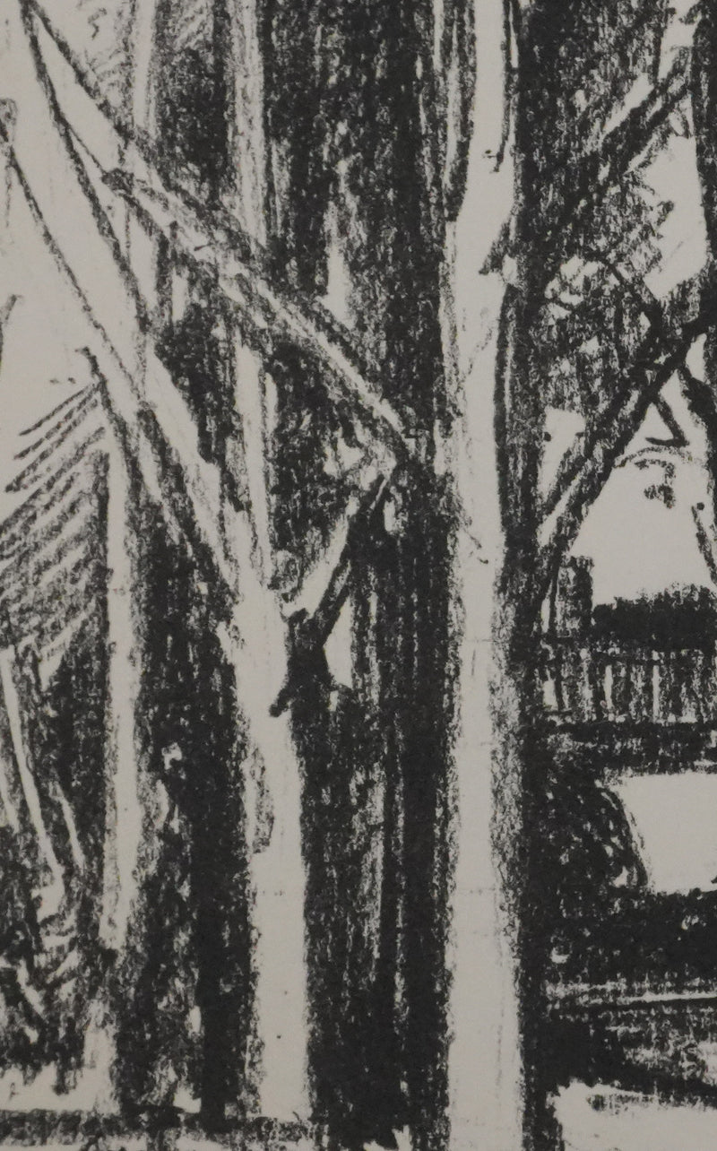 Jean DRIES : La petite maison dans les bois, Lithographie originale signée