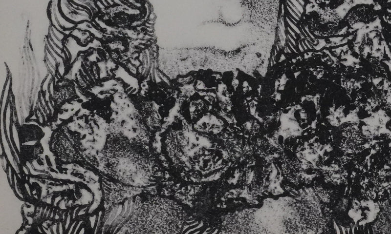 Françoise DUPRAT : Le rêve, Lithographie originale signée