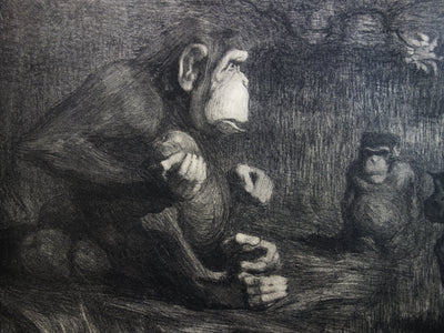 Paul JOUVE : Les Singes, le jugement de Paris, Lithographie originale (photo de détail 4) - Crédit photo : Galerie Art.Paris