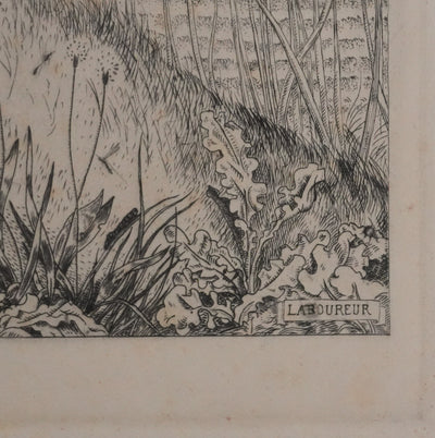Jean-Emile LABOUREUR : L'entomologiste, Gravure originale signée