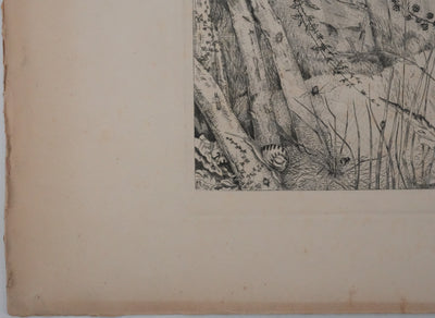 Jean-Emile LABOUREUR : L'entomologiste, Gravure originale signée