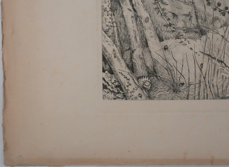 Jean-Emile LABOUREUR : L&