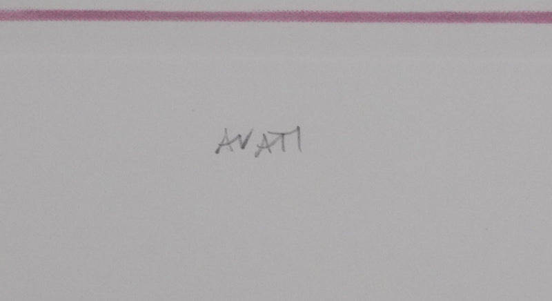 Mario AVATI : Le chant de l&