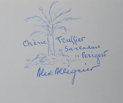 Autographe original de Alex ALLEGRIER (vue générale) - Crédit photo : Galerie Art.Paris
