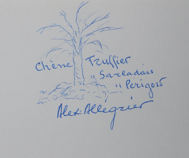Autographe original de Alex ALLEGRIER (vue générale) - Crédit photo : Galerie Art.Paris