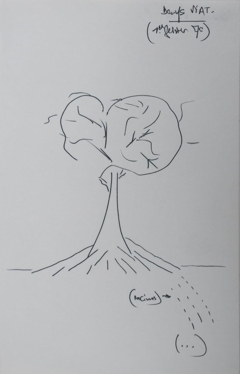 Autographe original de Denys VIAT (vue générale) - Crédit photo : Galerie Art.Paris