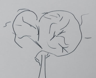 Autographe original de Denys VIAT (photo de détail 4) - Crédit photo : Galerie Art.Paris