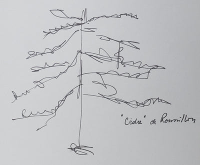 Joanna BRUZDOWICZ : L'arbre musical, Autographe et dessin original signé