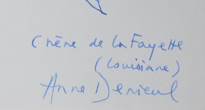 Anne DENIEUL-CORMIER : Le chêne de la Fayette, Autographe et dessin original signé