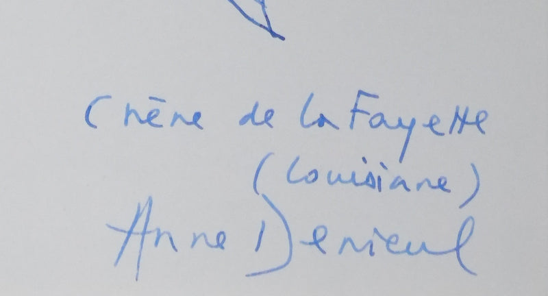 Anne DENIEUL-CORMIER : Le chêne de la Fayette, Autographe et dessin original signé