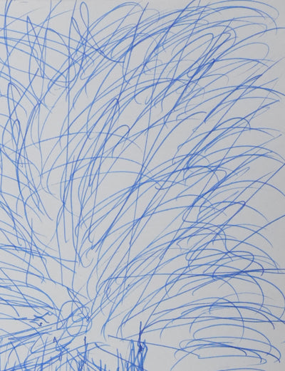 Anne DENIEUL-CORMIER : Le chêne de la Fayette, Autographe et dessin original signé