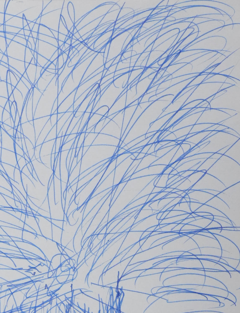 Anne DENIEUL-CORMIER : Le chêne de la Fayette, Autographe et dessin original signé