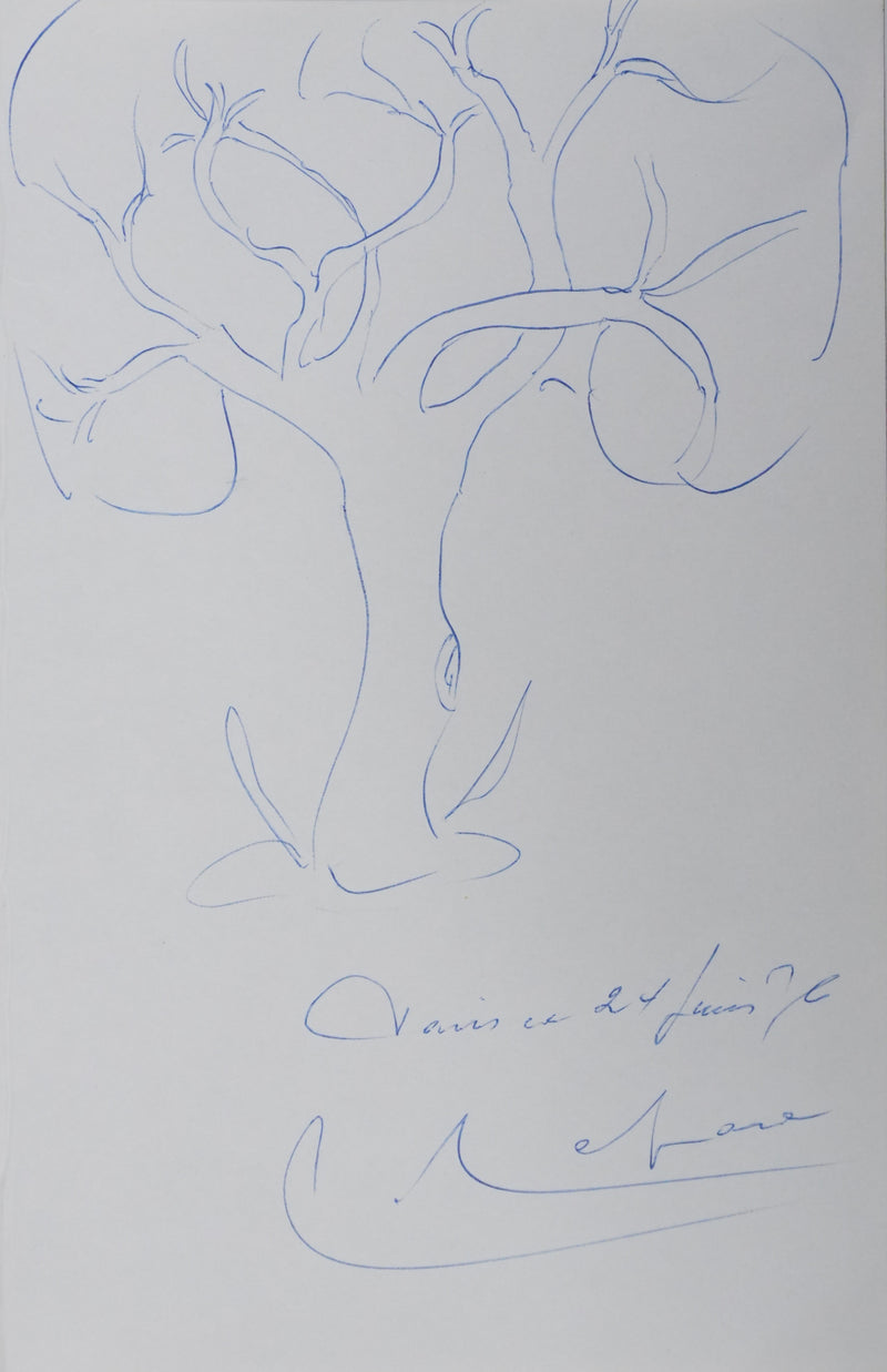 Léo LAPARA : Un arbre en mouvement, Autographe et dessin original signé