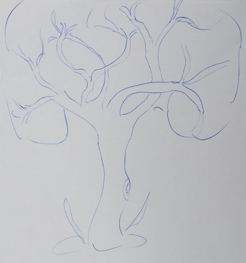 Léo LAPARA : Un arbre en mouvement, Autographe et dessin original signé