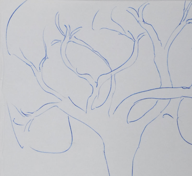 Léo LAPARA : Un arbre en mouvement, Autographe et dessin original signé