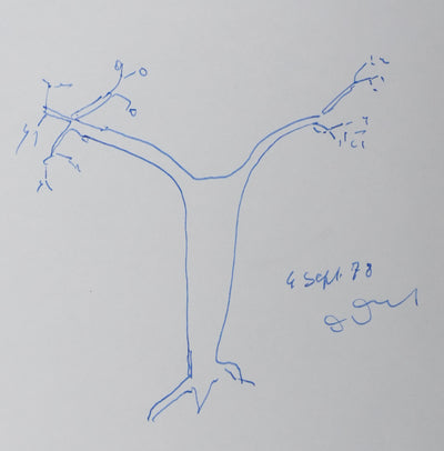 Maurice DEROT : Un arbre sans racines, Autographe et dessin original signé