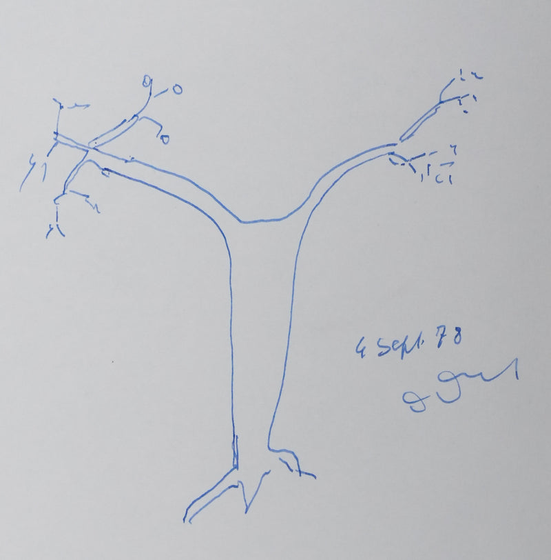 Maurice DEROT : Un arbre sans racines, Autographe et dessin original signé