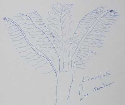 Jean DARIDAN : L'arbre de la mémoire, Autographe et dessin original signé