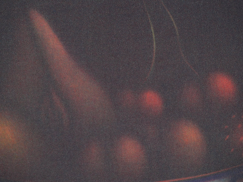 Laurent SCHKOLNYK : Panière de fruit, Gravure originale signée