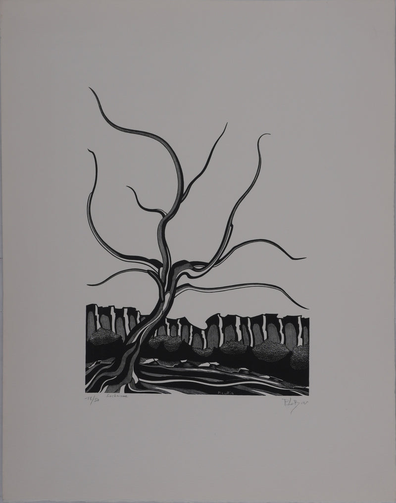 Patrick LUBIN : Paysage désertique, Gravure originale signée