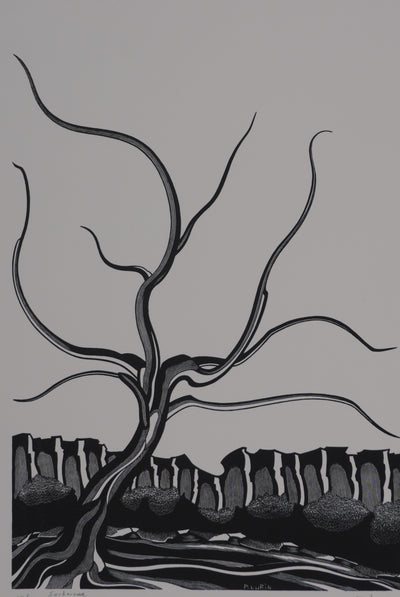 Patrick LUBIN : Paysage désertique, Gravure originale signée