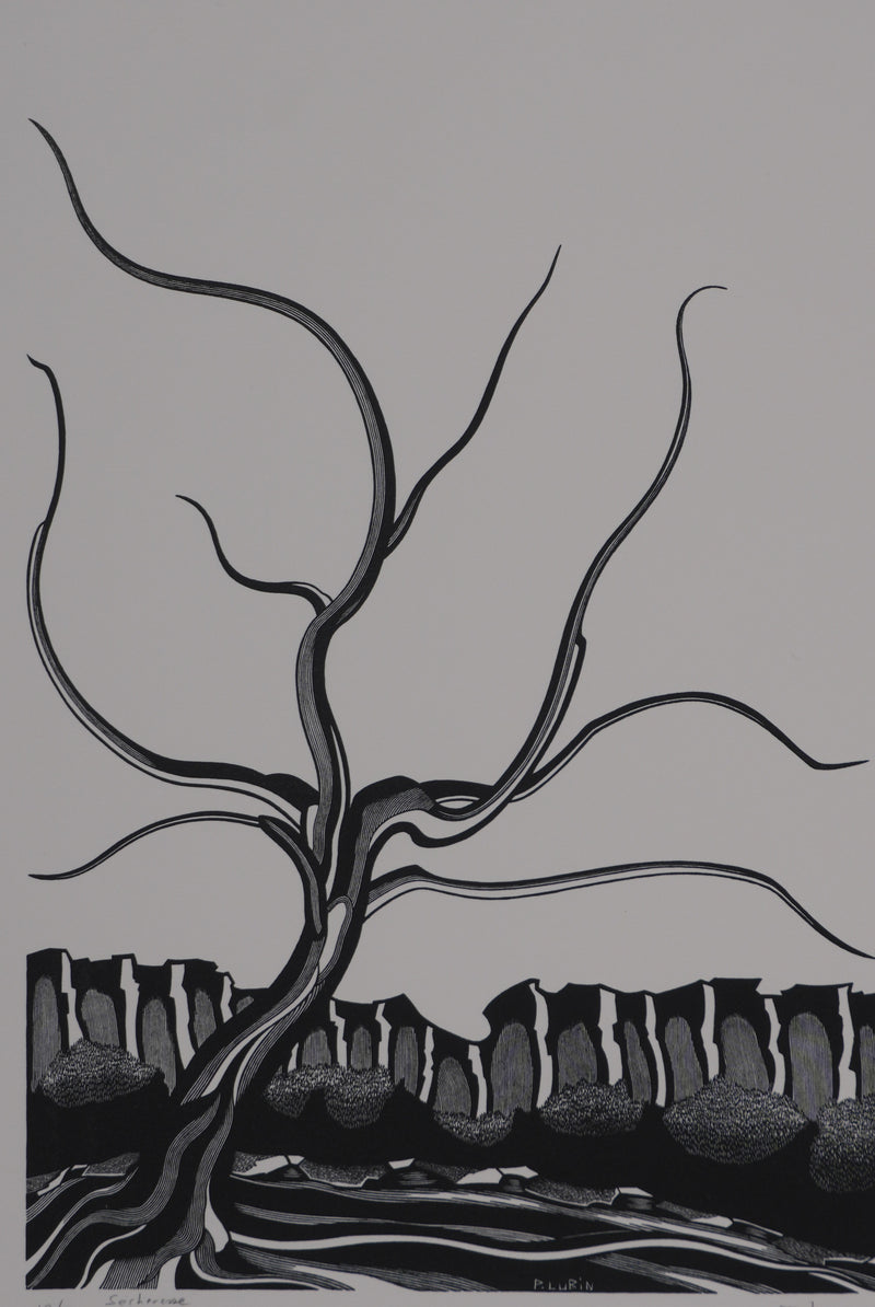 Patrick LUBIN : Paysage désertique, Gravure originale signée