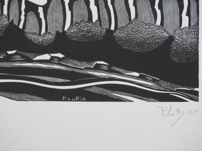 Patrick LUBIN : Paysage désertique, Gravure originale signée