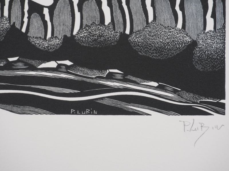 Patrick LUBIN : Paysage désertique, Gravure originale signée