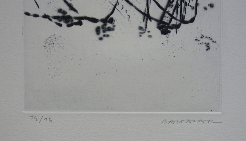 Julius BALTAZAR : Paysage en courbe, Gravure originale signée