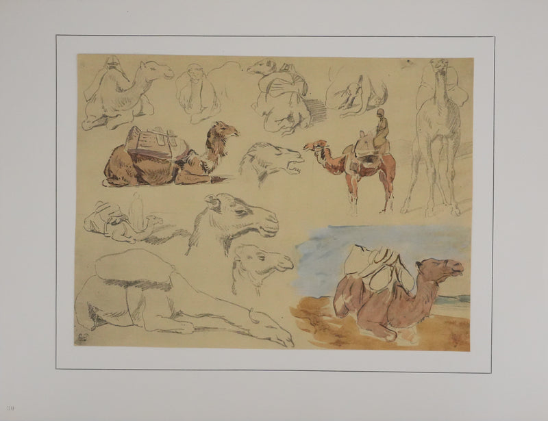 Eugène DELACROIX (d&