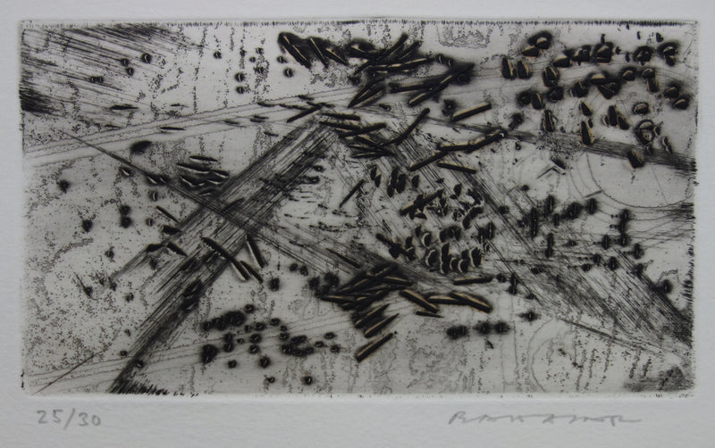 Julius BALTAZAR : Eclosion obscure, Gravure originale signée