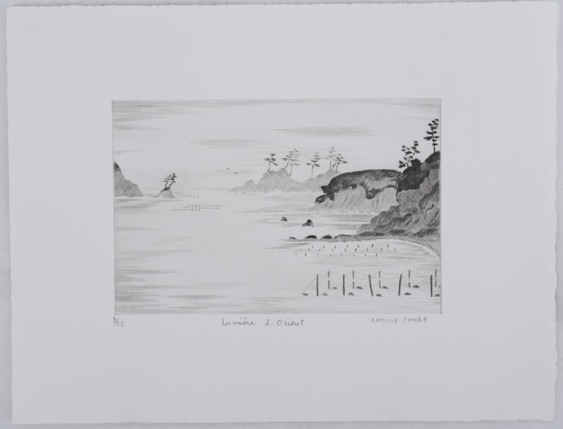 Camille COMBE : Lumière d&