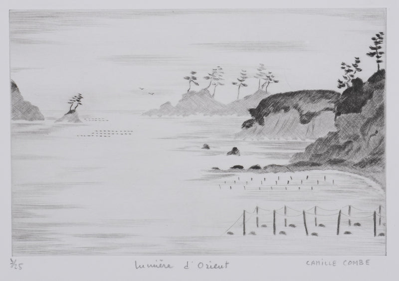 Camille COMBE : Lumière d&