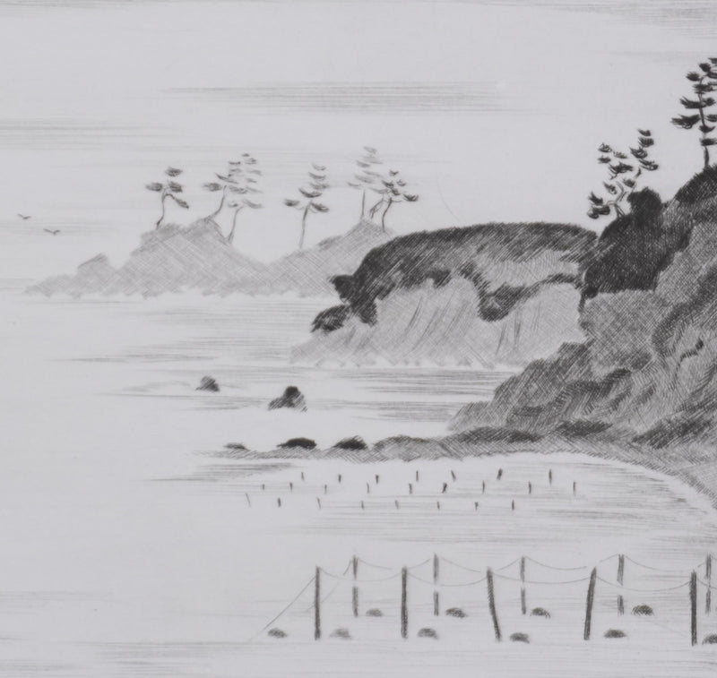 Camille COMBE : Lumière d&