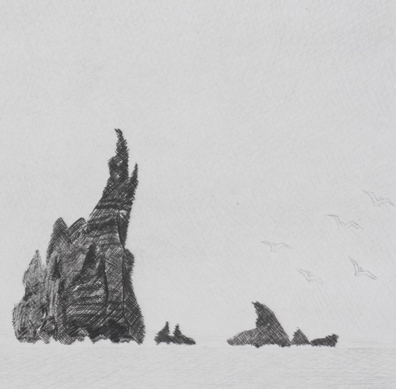 Camille COMBE : Les sortilèges du Grand Nord, Gravure originale signée