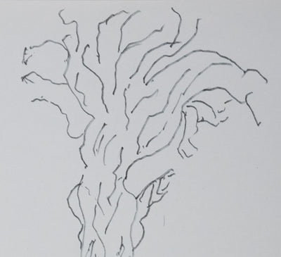 Jean Jacques DUMORET : Arbre en écorces, Autographe et dessin original signé