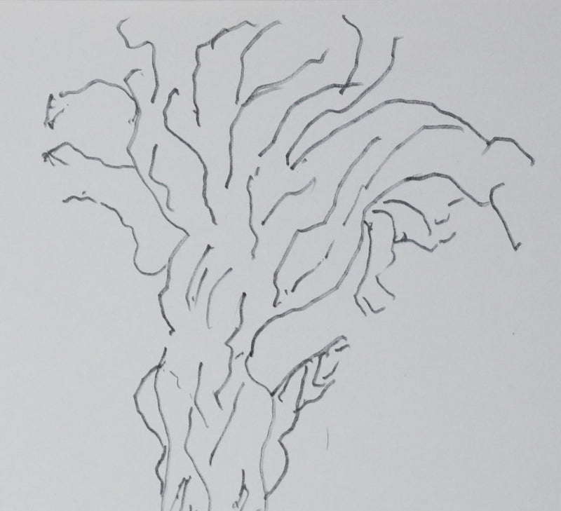 Jean Jacques DUMORET : Arbre en écorces, Autographe et dessin original signé