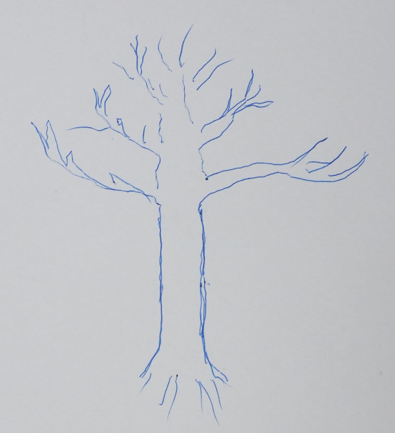 Autographe original de Raymond TRIBOULET (photo de détail 3) - Crédit photo : Galerie Art.Paris