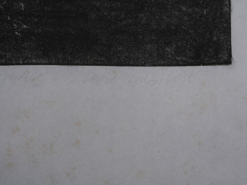 Ecole XXème : Rhinoceros à l&