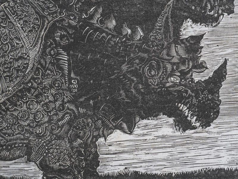 Ecole XXème : Rhinoceros à l&