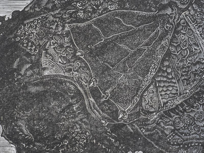Ecole XXème : Rhinoceros à l'armure, Gravure originale signée