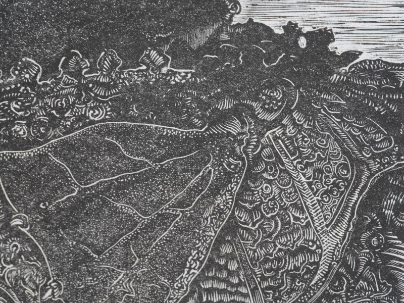 Ecole XXème : Rhinoceros à l&