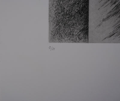Antoine DE MARGERIE : Contraste de lumière, Gravure originale signée