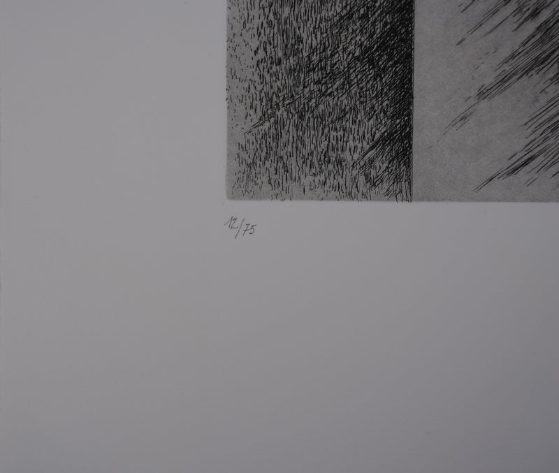 Antoine DE MARGERIE : Contraste de lumière, Gravure originale signée