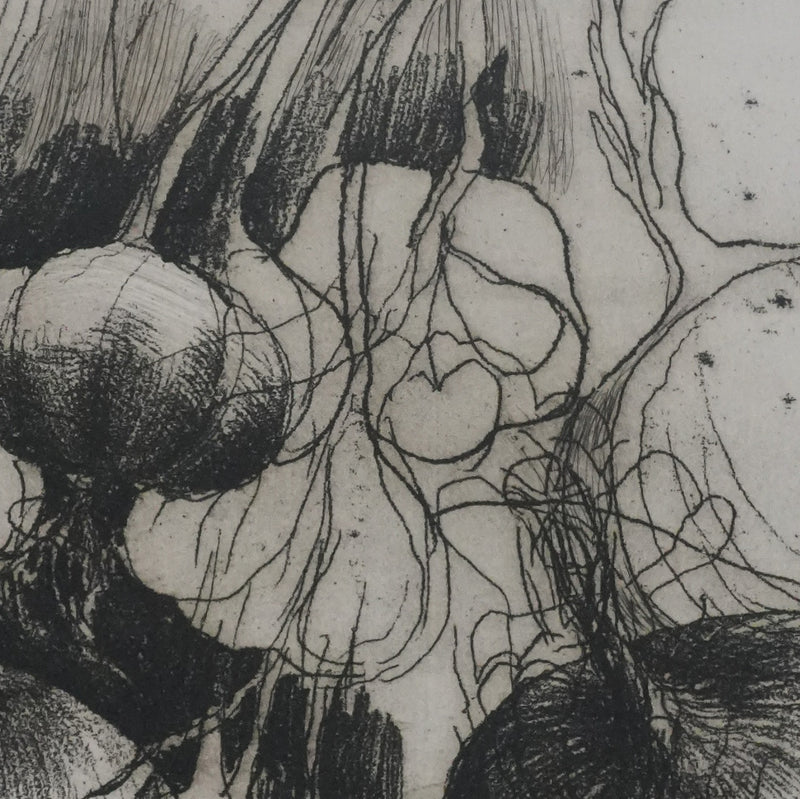 Safet ZEC : Nature morte aux oignons, Gravure originale signée
