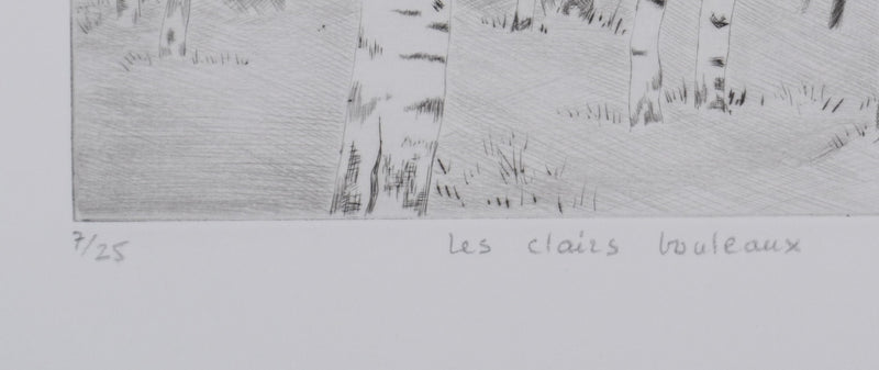 Camille COMBE : Les clairs des bouleaux, Gravure originale signée